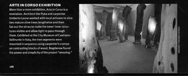 Showcase image 10