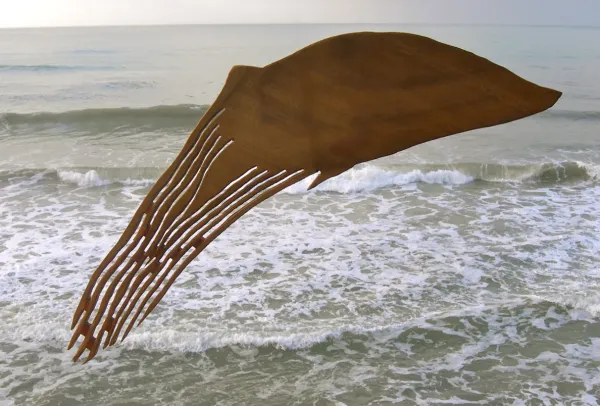 Delfino 2