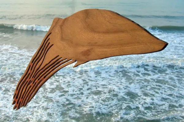 Delfino 1