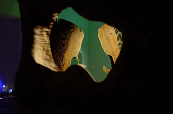 Showcase image 10