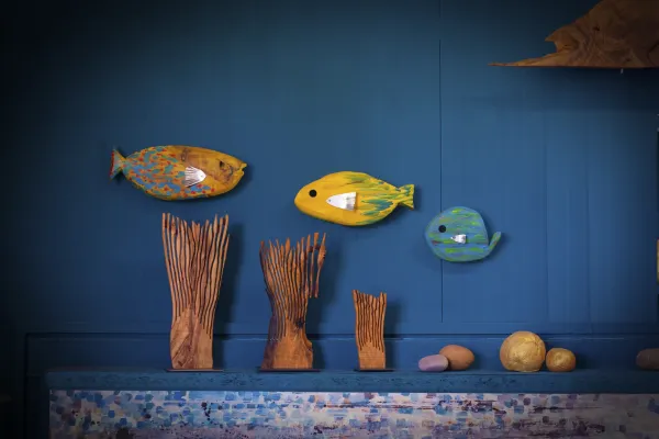 Showcase image 1
